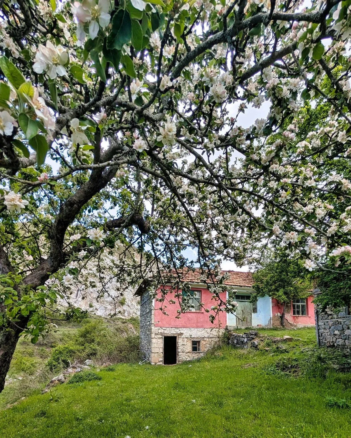 Bahuta dhe shtëpitë e vjetra
